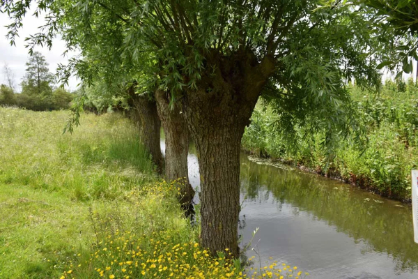 Landelijke Natuurwerkdag